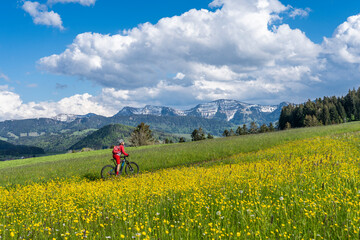 Fototapeta na wymiar smiling senior woman riding her electric mountain bike on a sunny day in early spring with yello flowers on the meadows below the snow capped mountains of Nagelfluh chain near Oberstaufen, Allgaeu 