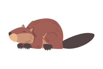 Cute Funny Brown Beaver Wild Rodent Animal Cartoon Vector Illustration