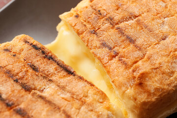 Plate with cheese ciabatta sandwich on grunge background