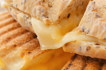 Tray with cheese ciabatta sandwiches, closeup