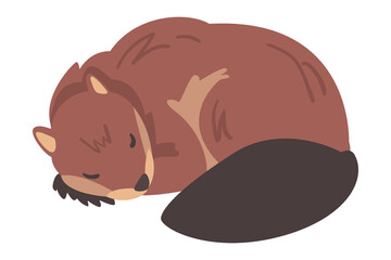 Cute Brown Sleeping Beaver, Wild Rodent Mammal Animal Cartoon Vector Illustration