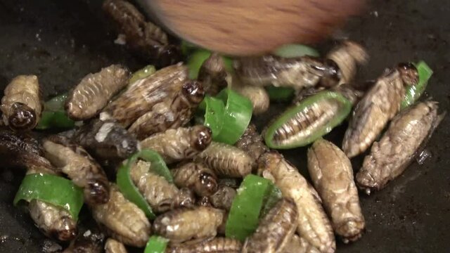 Heimchen werden mit Lauchzwiebeln in einer Pfanne angebraten