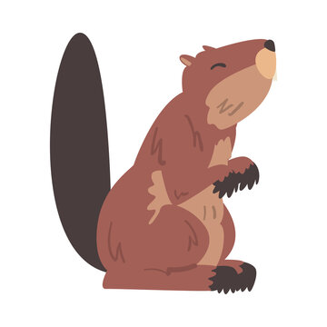 Cute Brown Beaver, Wild Rodent Mammal Animal Cartoon Vector Illustration
