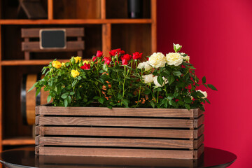 Beautiful roses in box in room
