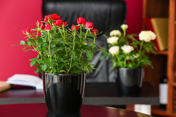 Beautiful roses in pots on table in room