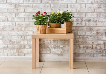 Beautiful roses in pots on table near brick wall