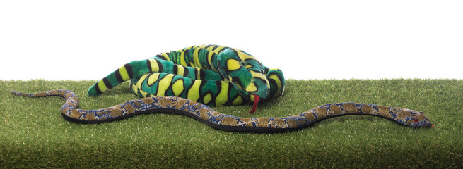 plush toy snake isolated on white background