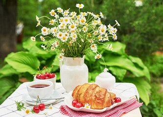 Breakfast outside. Cup of tea, strawberries, cherries, croissants, chamomile bunch on table. Summer picnic. Good morning concept