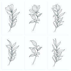 minimalist line art flower illustration with abstract leaves poster design set
