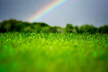 Naklejka premium A grassy field during the day with a rainbow in the background.