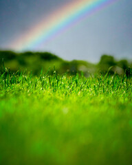 Naklejka premium A grassy field during the day with a rainbow in the background.