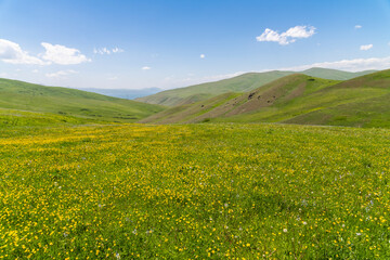 Spring landscape, beautiful green fields with flowers hills and mountains in the clear sunny day.