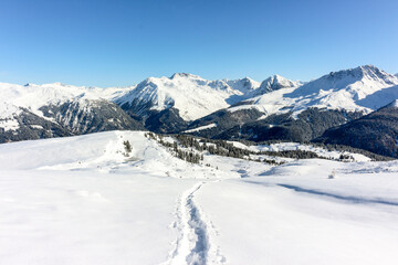 Fototapeta na wymiar Winter Hiking Path in Arosa, Switzerland