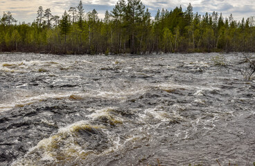 In the spring, the river quickly overflowed its banks and began to flood the forest.