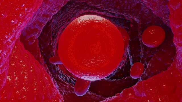 All Blood cells, 3d render