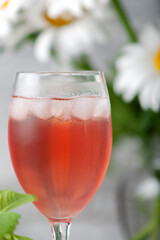 Homemade compote. Refreshing chilled summer fruit drink
