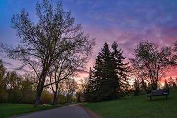 Sunrise Clouds Over A Spring Park