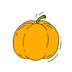Colorful pumpkin. Vegetable. Harvest. Holiday on October 31. Vector hand drawn doodle illustration