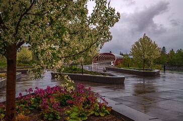 Rainy Day By The Peace Bridge Promenade