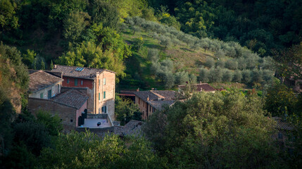 Tuscany landscape with farmhouse and olive trees in Siena, Italy