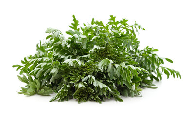 Beautiful green wormwood.