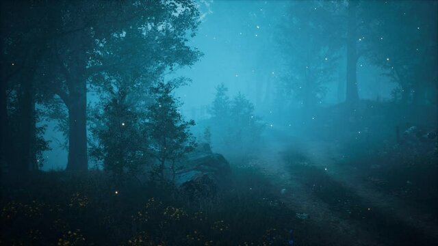 foreat at hight with bright moon light