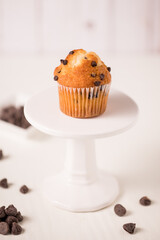 mini chocolate chip muffin with chocolate chips scattered