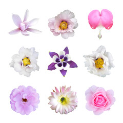 Composition of flowers on white isolated background.