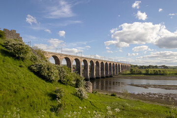 The Royal Border Bridge spanning the River Tweed in Berwick, Northumberland, UK - obrazy, fototapety, plakaty