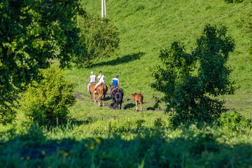 view of the back. tourists, people, on horseback go down the mountainside with a small foal in a...