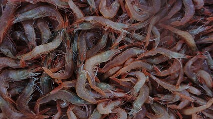 shrimp on market as a background