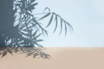 Fototapete Badezimmer Palm leaves shadow on blue wall background and beige pastel floor. Summer tropical beach background. Empty room for product presentation. Minimal concept.  © Lyubov