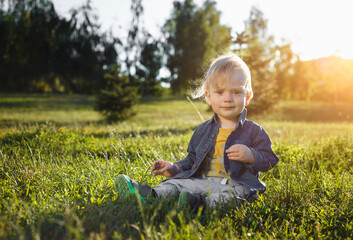 Portrait of a cute toddler boy sitting in a field among the grass at sunset. A child walks in the park. On open air. Happy summer and lifestyle concept. Childhood.