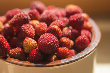 Ripe wild strawberries in a clay mug in the rays of the sun. A healthy summer berry.