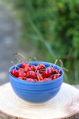 Bowl of fresh cherries, served in a garden. Selective focus.