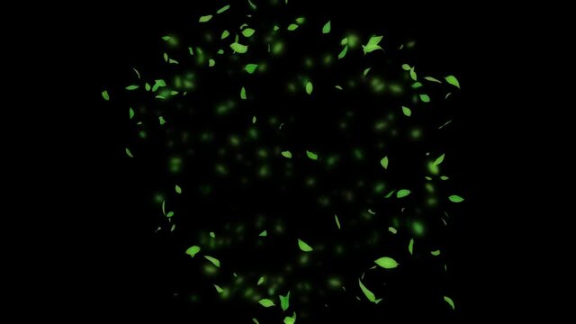 Slow motion shot of exploding variation of green leaves. Animation with transparent background in ProRes 4444 format