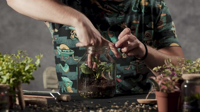 Person making a terrarium. Young attractive botanist is putting small plants and decoration in glass jar. Self-sustaining micro garden ecosystem. Zen meditation hobby. Succulents plant pot.