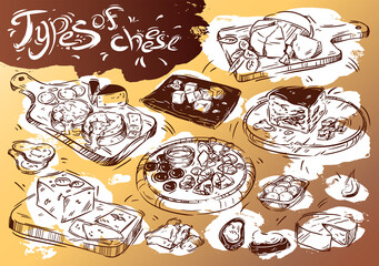 Different types of cheese isolated. Kinds: brie, сamembert, blue, mozzarella, feta, roquefort, gouda