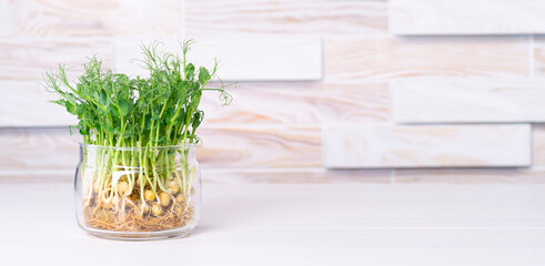 Micro greens grown in glass jar on kitchen table with space for text