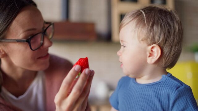 Loving young mother in eyeglasses giving her baby son strawberry to try. Baby boy enjoying eating sweet ripe berry