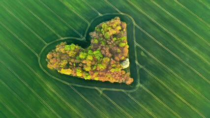 Small forest between fields in earth shape - aerial drone shot