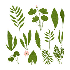 Hand drawn abstract set boho leaves with flowers isolated on white background. Vector hand drawn flat illustration. Design for pattern, logo, posters, invitation, greeting card