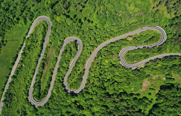 Aerial drone view of winding road between green forest
