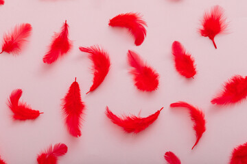 Red feathers pattern on pink colored background. Top view soft bird feather pattern texture.