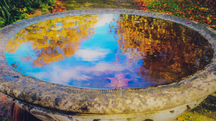 fountain in the park