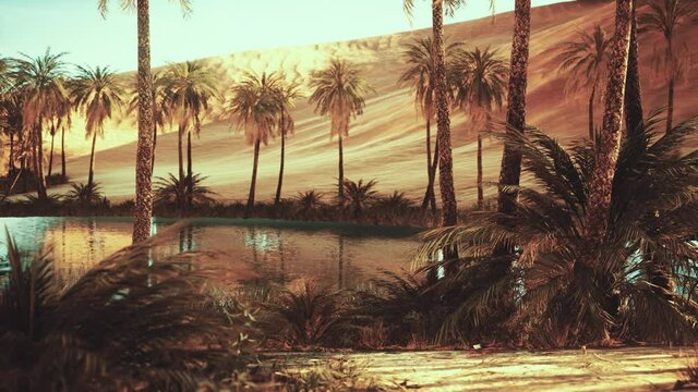 Oasis in hot Sahara Desert