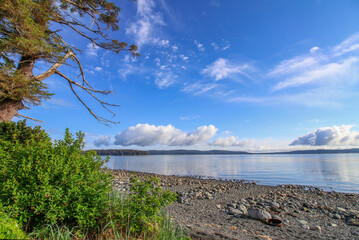Beautiful beach in Port McNeill on Vancouver Island, north shore. The view on tree branches, pebble...