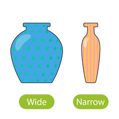 wide and narrow vase. the concept of teaching children wide and narrow opposite adjectives.