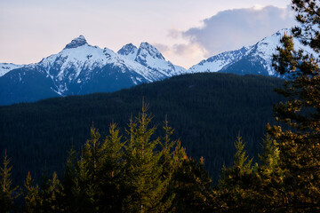 Tantalus Range and forest from Hwy 99 Lookout, Squamish, BC