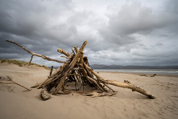 driftwood on the beach, Aberdovey (Aberdyfi) Snowdonia, Wales